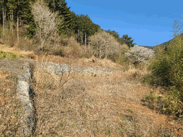경상남도 거제시 둔덕면 상둔리 214-1 전 경매 사진 1