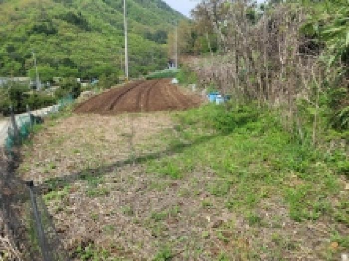 경상남도 거제시 둔덕면 상둔리 214-1 전 경매 사진 10