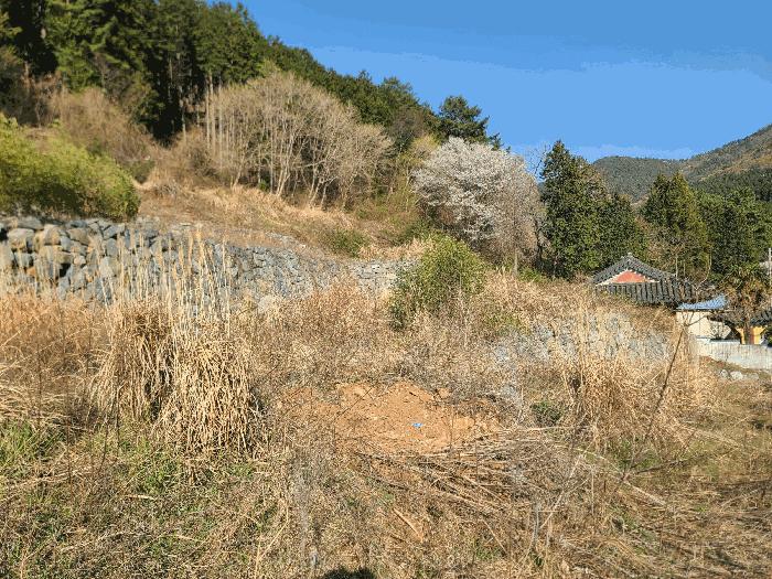 경상남도 거제시 둔덕면 상둔리 214-1 전 경매 사진 4