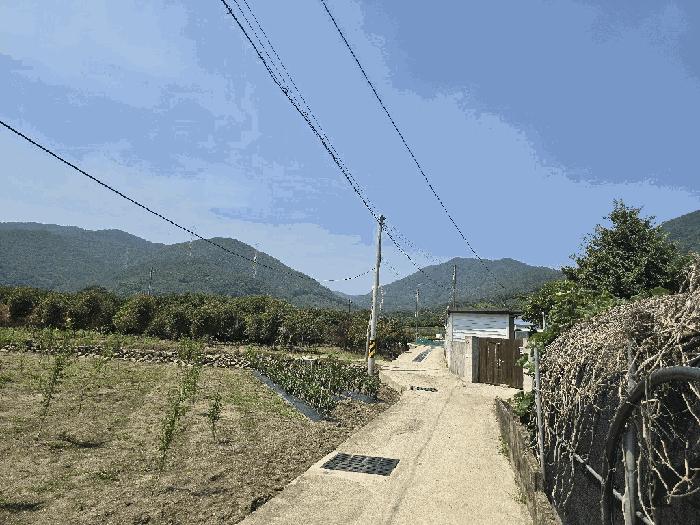 전라남도 순천시 서면 흥대리 228 주택 경매 사진 3