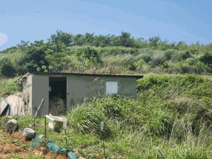 전라남도 고흥군 봉래면 신금리 589 전 경매 사진 11