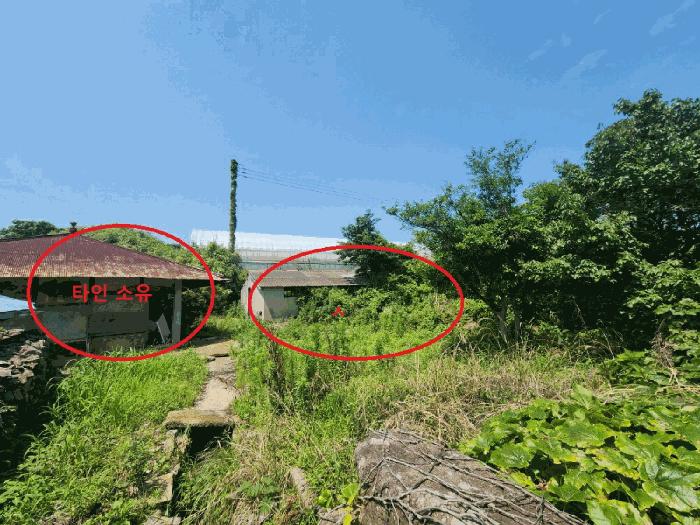 전라남도 고흥군 봉래면 신금리 589 전 경매 사진 14
