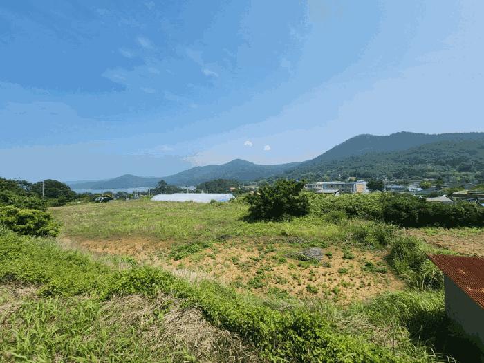 전라남도 고흥군 봉래면 신금리 589 전 경매 사진 16