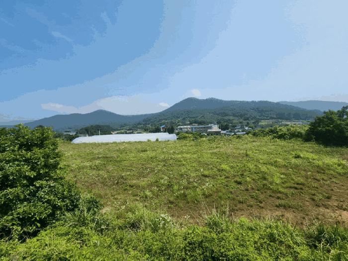 전라남도 고흥군 봉래면 신금리 589 전 경매 사진 2