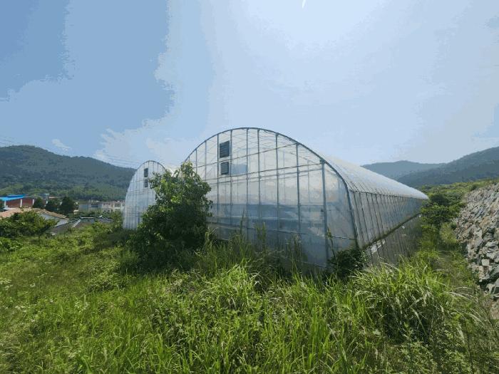 전라남도 고흥군 봉래면 신금리 589 전 경매 사진 6
