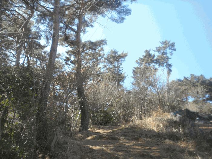 경상남도 통영시 임야