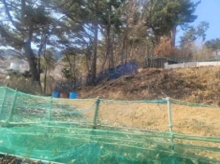 경상남도 통영시 북신동 309-2 임야 경매 사진 12