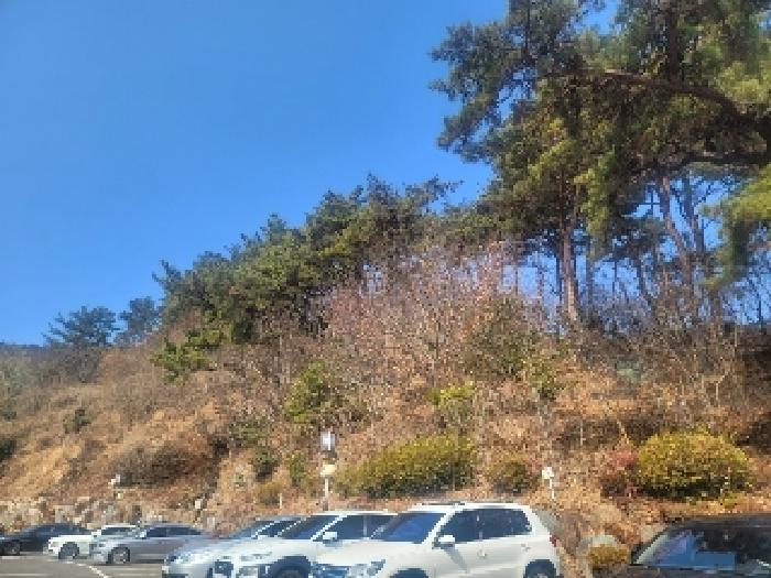 경상남도 통영시 북신동 309-2 임야 경매 사진 13