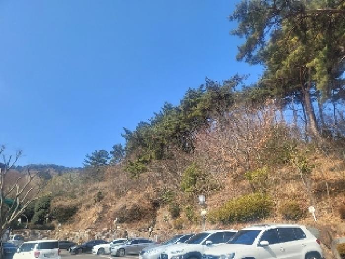 경상남도 통영시 북신동 309-2 임야 경매 사진 14
