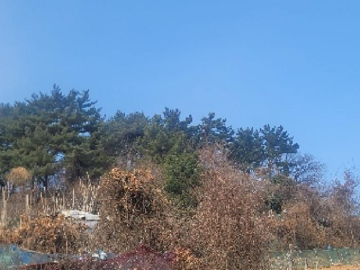 경상남도 통영시 북신동 309-2 임야 경매 사진 15