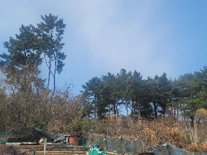 경상남도 통영시 북신동 309-2 임야 경매 사진 16