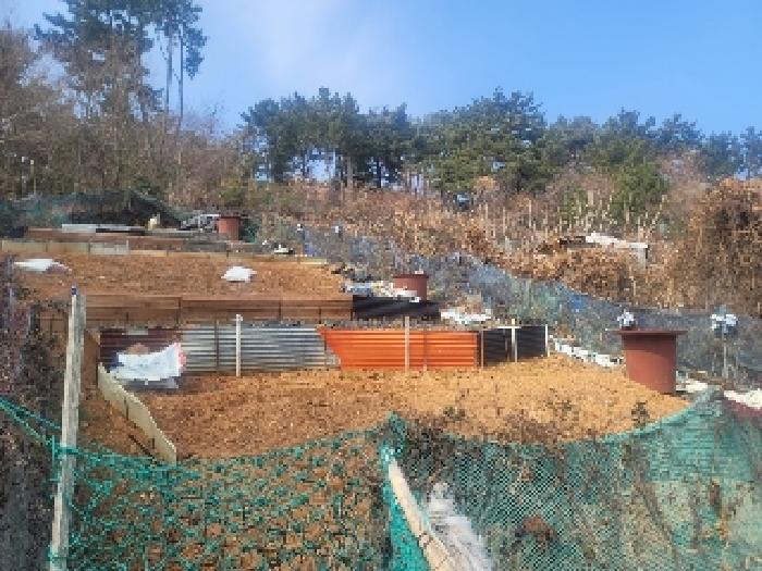경상남도 통영시 북신동 309-2 임야 경매 사진 19