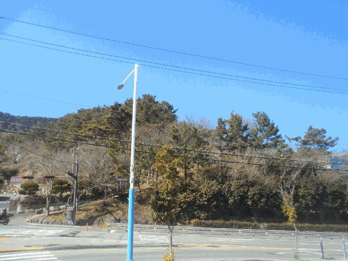 경상남도 통영시 북신동 309-2 임야 경매 사진 2