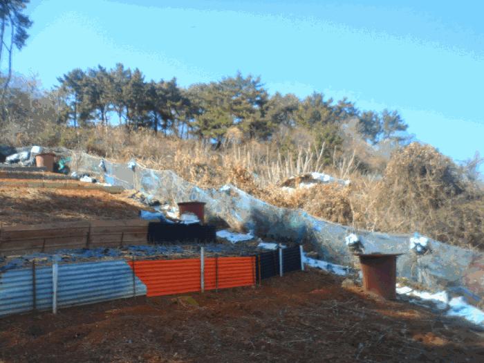 경상남도 통영시 북신동 309-2 임야 경매 사진 4
