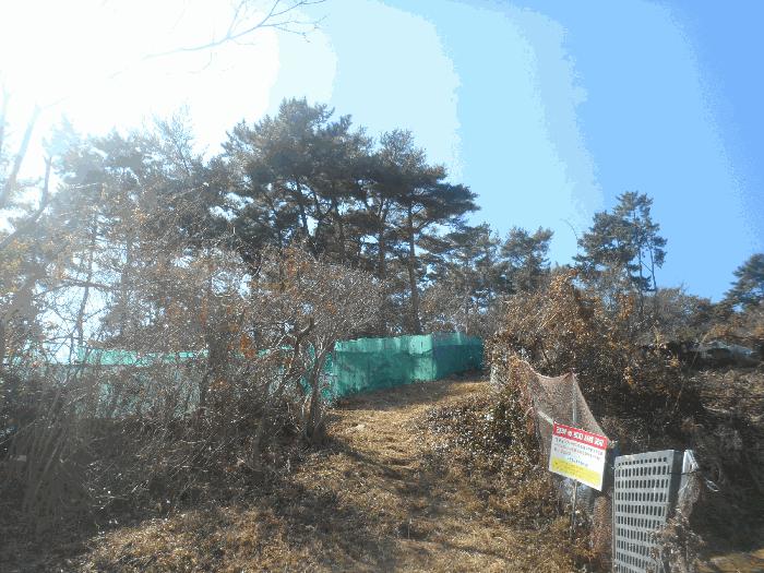 경상남도 통영시 북신동 309-2 임야 경매 사진 6