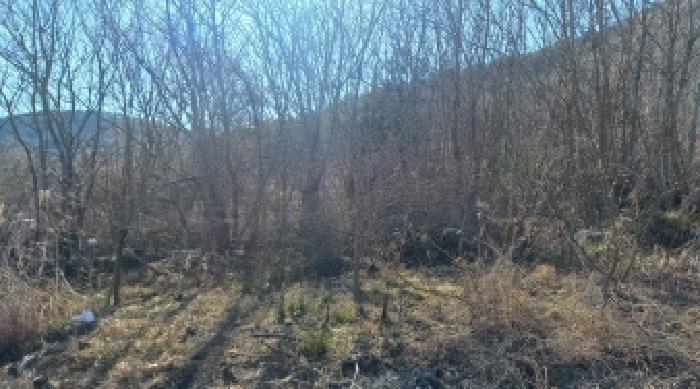 경상남도 거제시 연초면 연사리 702 답 경매 사진 18