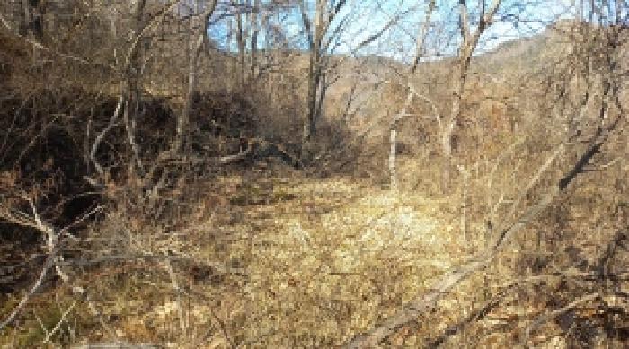 경상남도 거제시 연초면 연사리 702 답 경매 사진 9