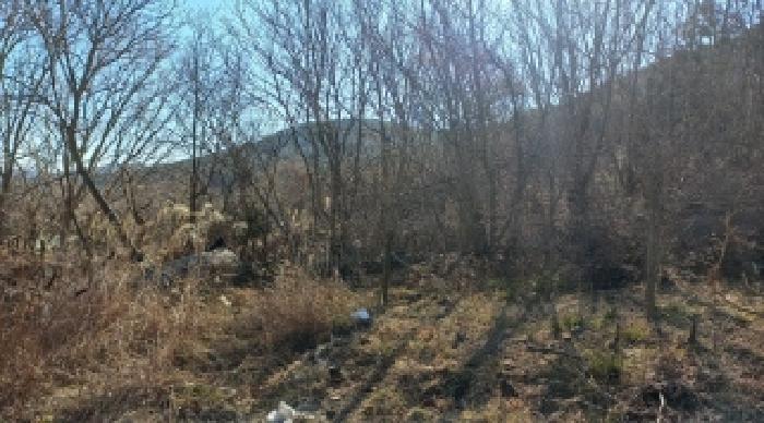 경상남도 거제시 연초면 연사리 736 대지 경매 사진 19