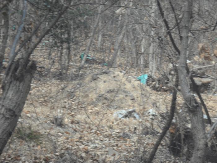 경상남도 거제시 장목면 농소리 산50-3 임야 경매 사진 1