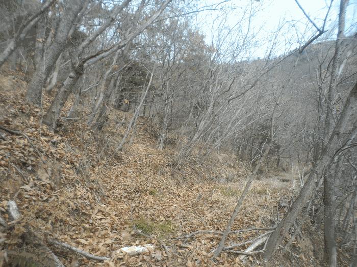 경상남도 거제시 장목면 농소리 산50-3 임야 경매 사진 2