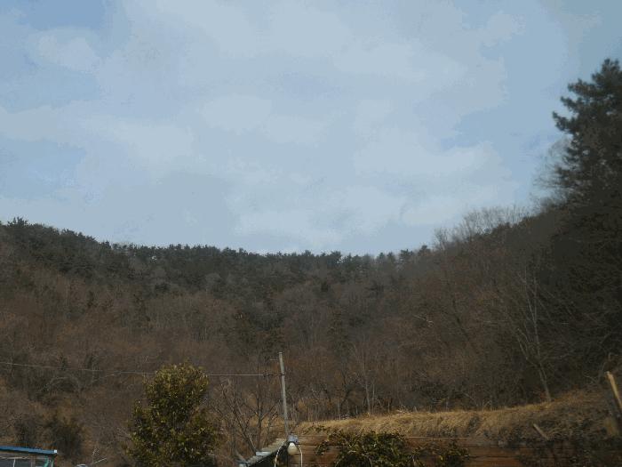 경상남도 거제시 장목면 농소리 산50-3 임야 경매 사진 3