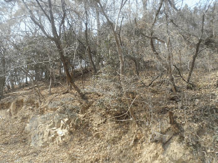 경상남도 거제시 장목면 농소리 산50-3 임야 경매 사진 4