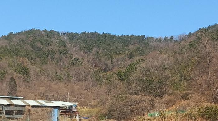 경상남도 거제시 장목면 농소리 산50-3 임야 경매 사진 5