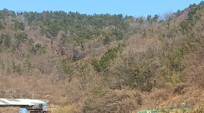 경상남도 거제시 장목면 농소리 산50-3 임야 경매 사진 6