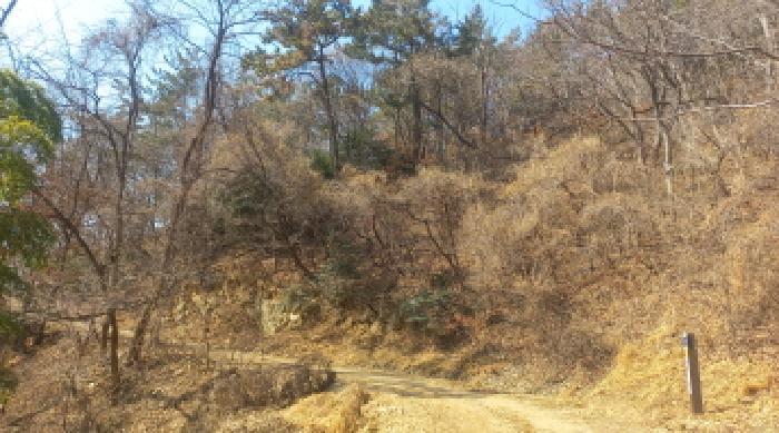 경상남도 거제시 장목면 농소리 산50-3 임야 경매 사진 7