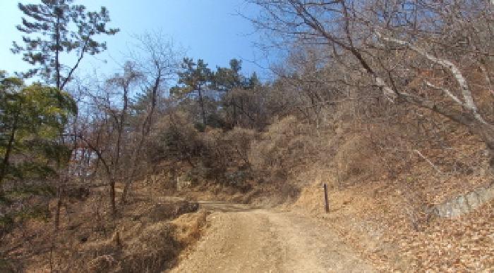 경상남도 거제시 장목면 농소리 산50-3 임야 경매 사진 8