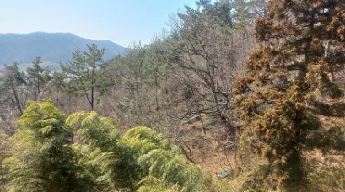 경상남도 거제시 장목면 농소리 산50-3 임야 경매 사진 9