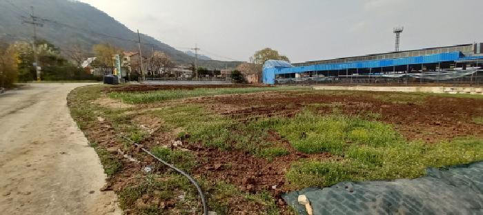 강원특별자치도 철원군 동송읍 상노리 579-2 근린시설 경매 사진 19