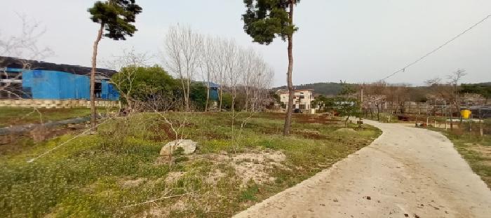 강원특별자치도 철원군 동송읍 상노리 579-2 근린시설 경매 사진 24
