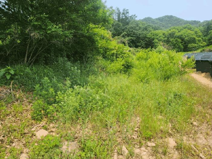 충청북도 진천군 광혜원면 죽현리 620 전 경매 사진 2