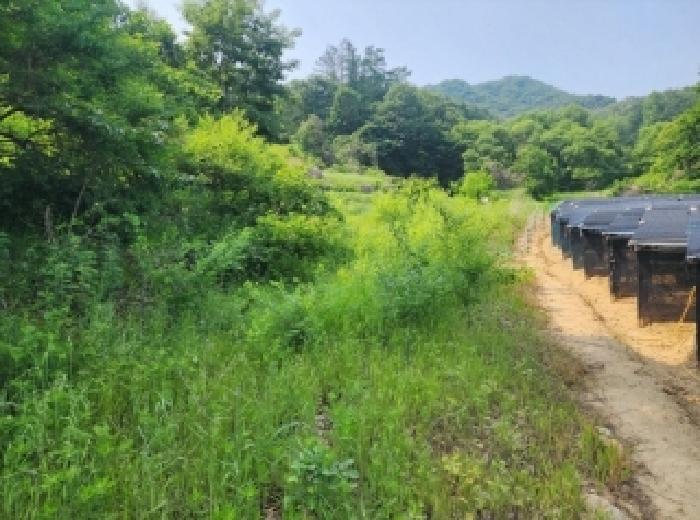 충청북도 진천군 광혜원면 죽현리 620 전 경매 사진 7