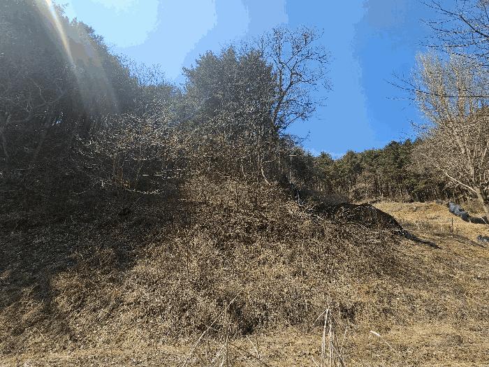 충청남도 금산군 진산면 묵산리 산77-1 임야 경매 사진 1