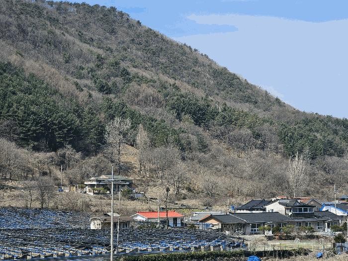 충청남도 금산군 진산면 묵산리 산77-1 임야 경매 사진 3