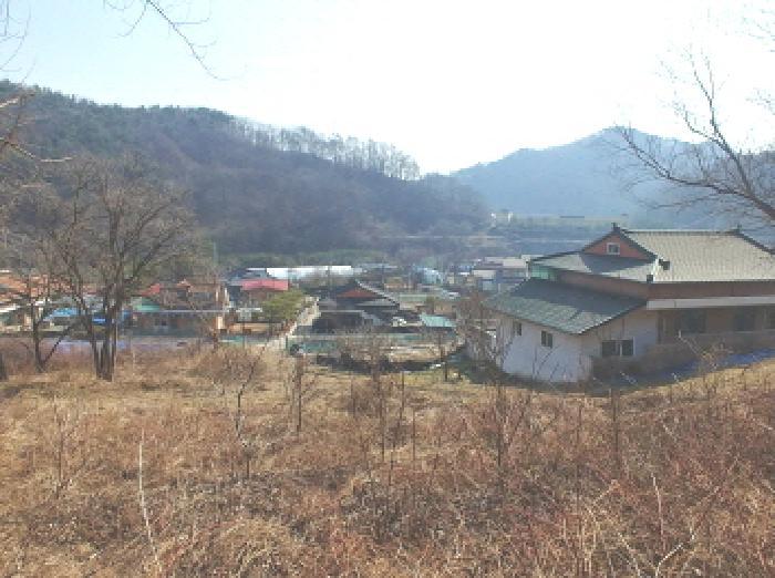 충청남도 금산군 진산면 묵산리 산77-1 임야 경매 사진 6
