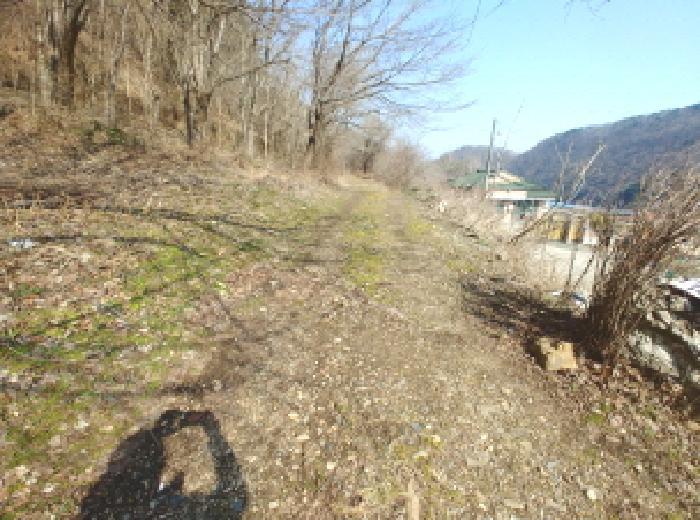충청남도 금산군 진산면 묵산리 산77-1 임야 경매 사진 9