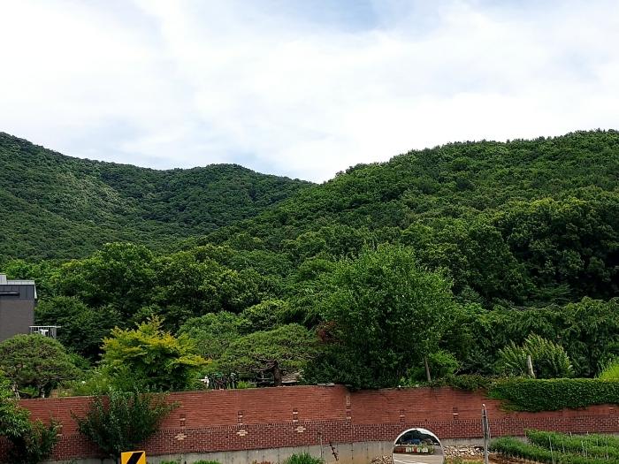 경기도 화성시 팔탄면 기천리 산25 임야 경매 사진 1
