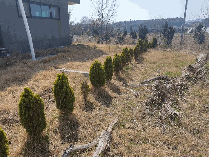 충청남도 태안군 태안읍 남산리 975-1 주택 경매 사진 7