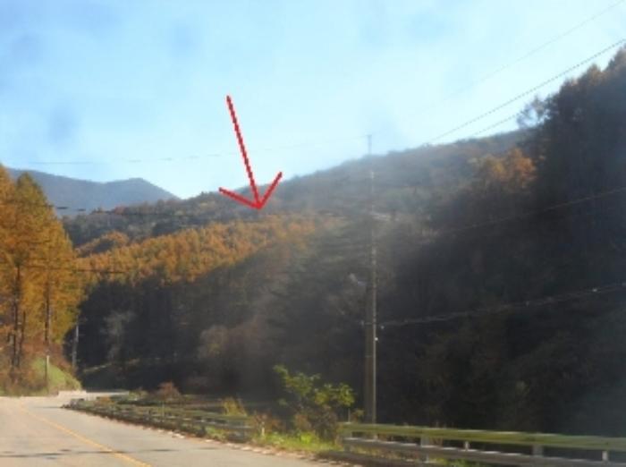 강원특별자치도 평창군 대관령면 용산리 584-45 임야 경매 사진 4