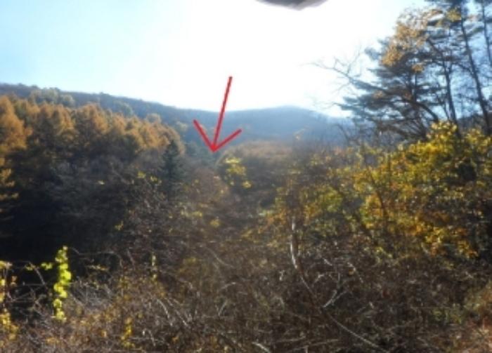 강원특별자치도 평창군 대관령면 용산리 584-45 임야 경매 사진 5