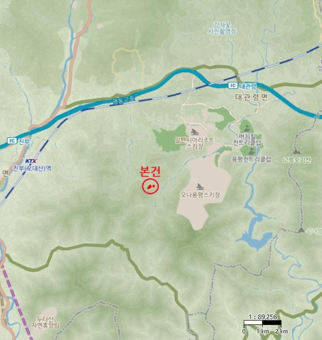 강원특별자치도 평창군 대관령면 용산리 584-45 임야 경매 사진 7
