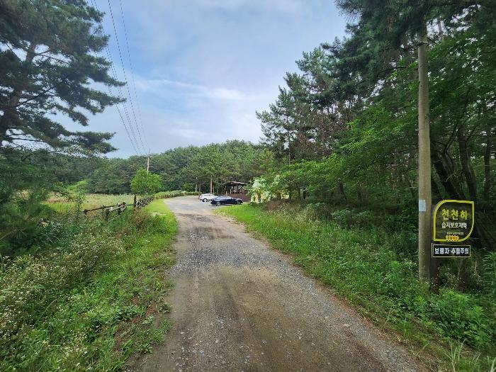 충청남도 태안군 원북면 신두리 산305-2 임야 경매 사진 10