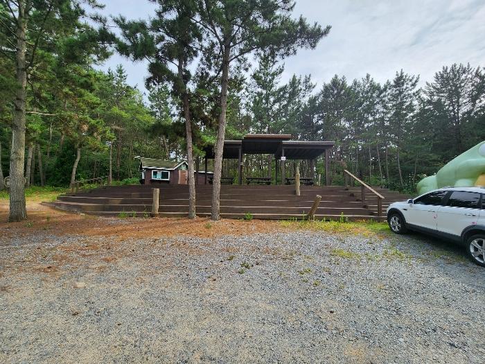 충청남도 태안군 원북면 신두리 산305-2 임야 경매 사진 11