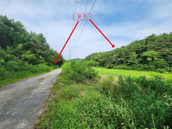 충청남도 태안군 원북면 신두리 산305-2 임야 경매 사진 2