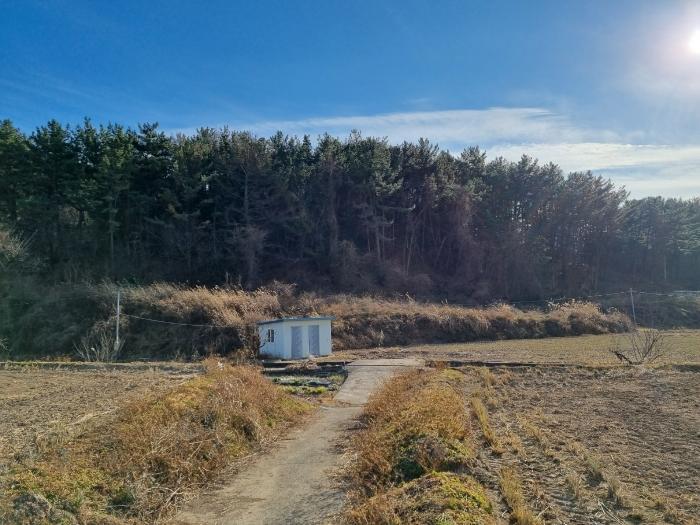 울산광역시 울주군 언양읍 직동리 262 전 경매 사진 5