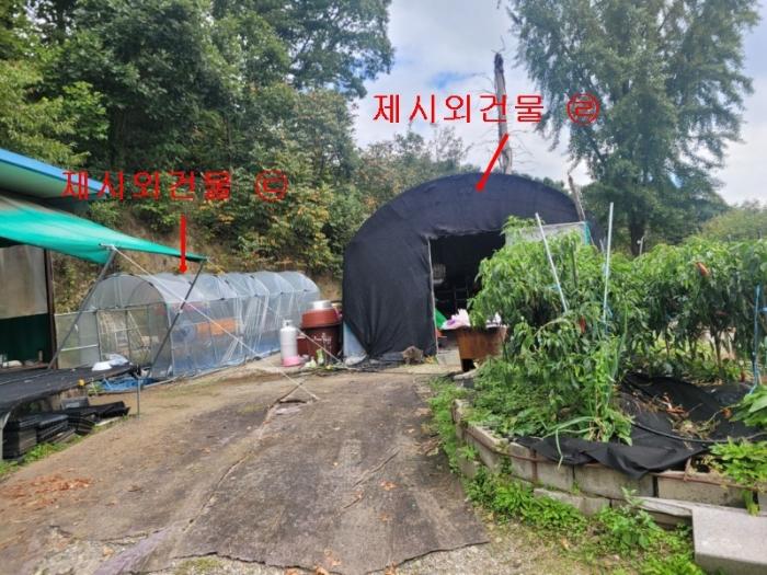 경기도 가평군 상면 항사리 산156 임야 경매 사진 3