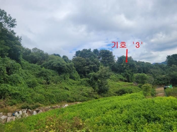 경기도 가평군 상면 항사리 577-2 임야 경매 사진 6